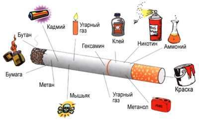 Факты о вреде курения — СПб ГБУЗ Кожно-венерологический ...